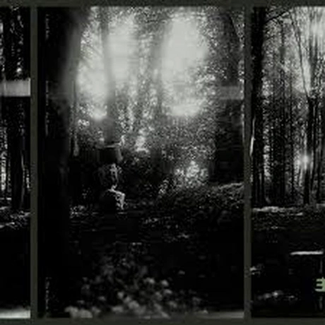 Eyolf Dale - The Wayfarers (coloured) (5060509791842) виниловая ...