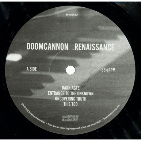 DoomCannon - Renaissance (5060180325183) виниловая пластинка - фото 2