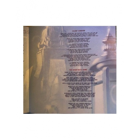 Виниловая пластинка Flower Kings, The, Retropolis (0194399568613) - фото 7