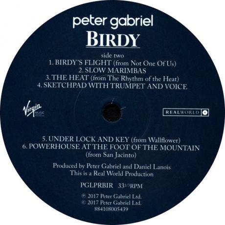 Peter Gabriel - Birdy (OST) (0884108005439) виниловая пластинка - фото 4