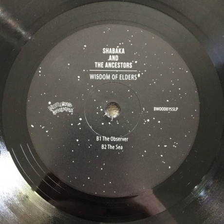 Shabaka - Wisdom Of Elders (5060180322878) виниловая пластинка - фото 4