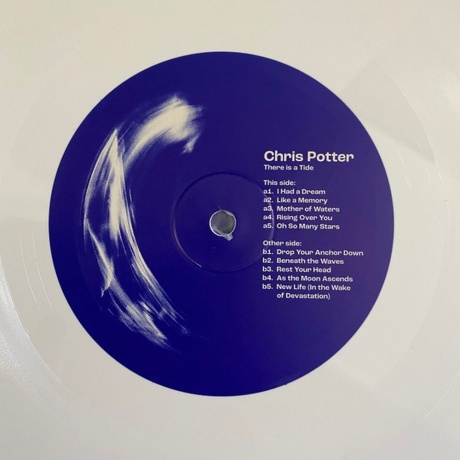 Chris Potter - There Is A Tide (5060509791163) виниловая пластинка - фото 2