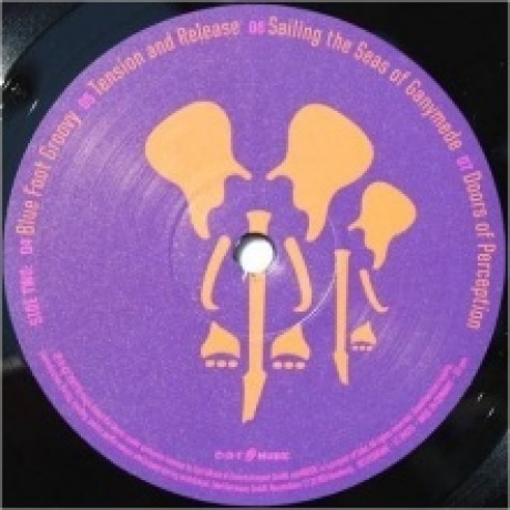 Joe Satriani - The Elephants Of Mars (4029759173182) виниловая пластинка - фото 5