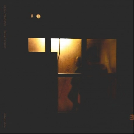 Sachal Vasandani - Midnight Shelter (coloured) (5060509791255) в...