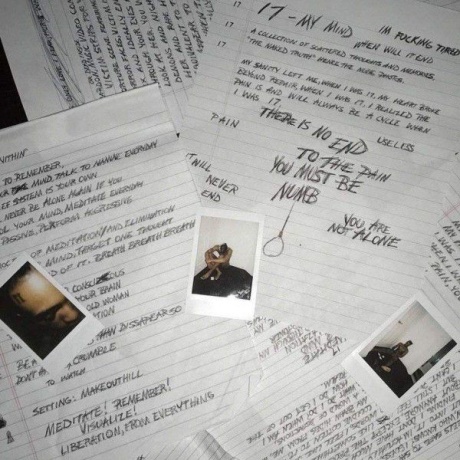 Виниловая пластинка Xxxtentacion, 17 (0888915663776) - фото 1
