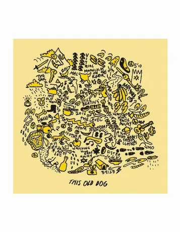Mac DeMarco - This Old Dog (0817949013158) виниловая пластинка