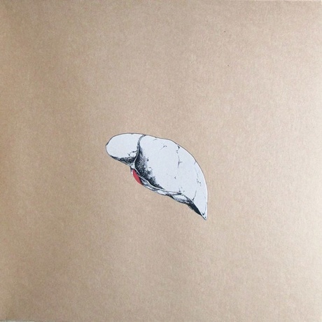 Swans - The Beggar (5400863101480) виниловая пластинка - фото 4