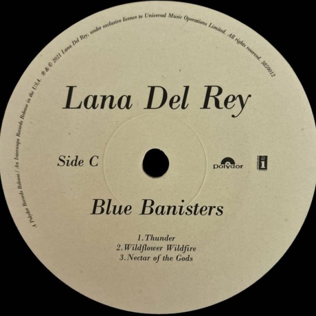 Lana Del Rey - Blue Banisters (0602438590148) виниловая пластинка - фото 5