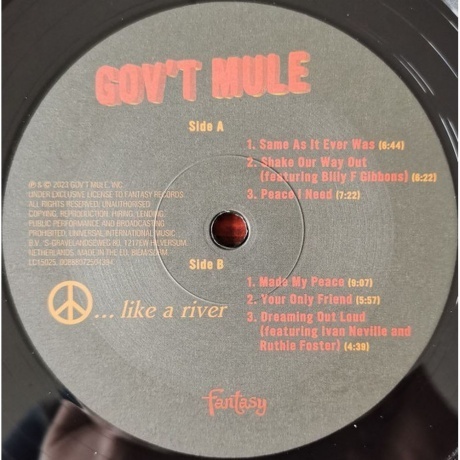Gov't Mule - Peace...Like A River (0888072447585) виниловая пластинка - фото 7