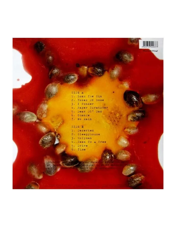 0600753440377, Виниловая пластинка Blind Melon, Blind Melon - фото 2