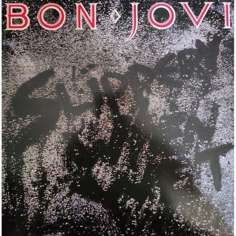 Bon Jovi - Slippery When Wet (0602547029218) виниловая пластинка - фото 1
