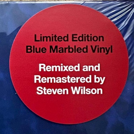 Wright Richard - Wet Dream (Blue Marbled) (5054197662348) виниловая пластинка - фото 6