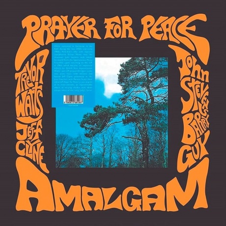 Amalgam - Prayer For Peace (5060672881067) виниловая пластинка - фото 1