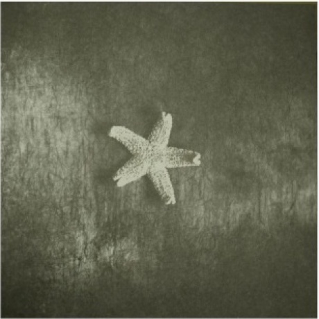 8718469533916, Church, The, Starfish виниловая пластинка - фото 4