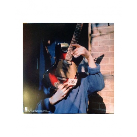 0817949019471, Виниловая пластинка DeMarco, Mac, Salad Days - фото 3