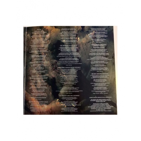 0727361428617, Виниловая пластинка Dimmu Borgir, Spiritual Black Dimensions - фото 5