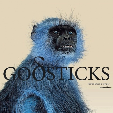 Godsticks - This Is What A Winner Looks Like (0802644812717) вин...