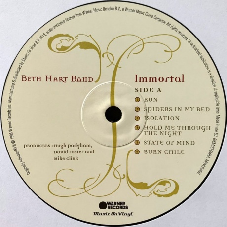 Beth Hart - Immortal (8719262013391) виниловая пластинка - фото 3