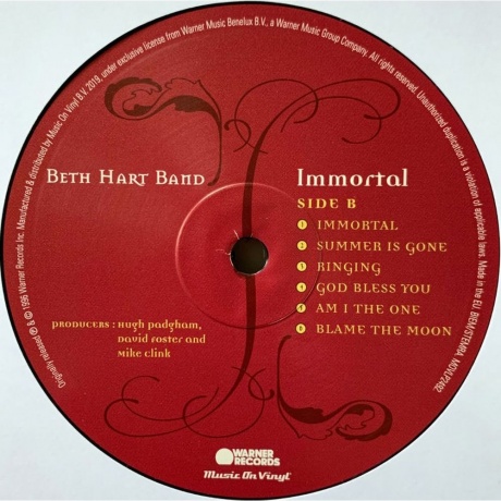 Beth Hart - Immortal (8719262013391) виниловая пластинка - фото 4