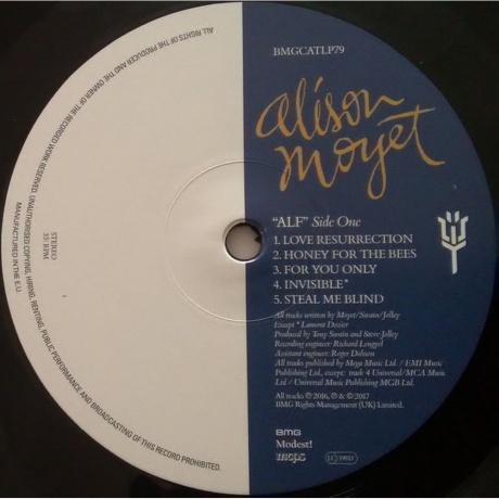 Alison Moyet - Alf (4050538323283) виниловая пластинка - фото 4