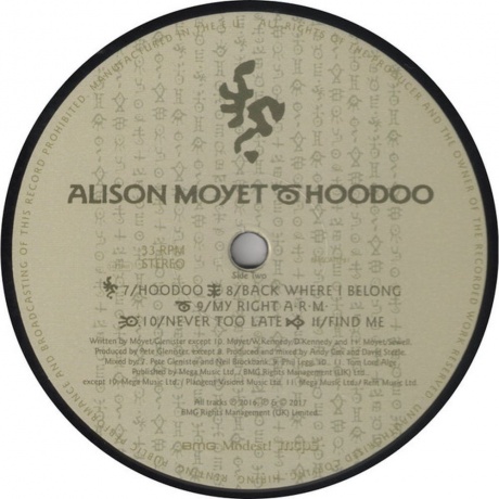 Alison Moyet - Hoodoo (4050538323320) виниловая пластинка - фото 5