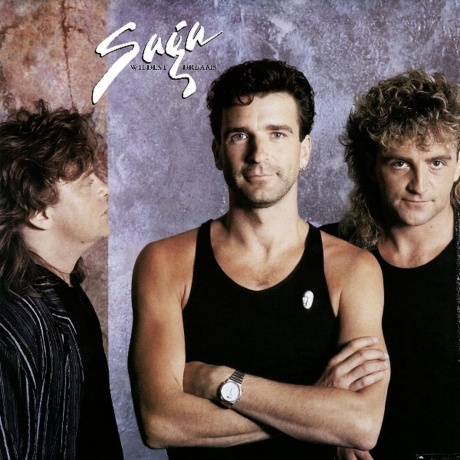 Saga - Wildest Dreams (4029759159636) виниловая пластинка - фото 1