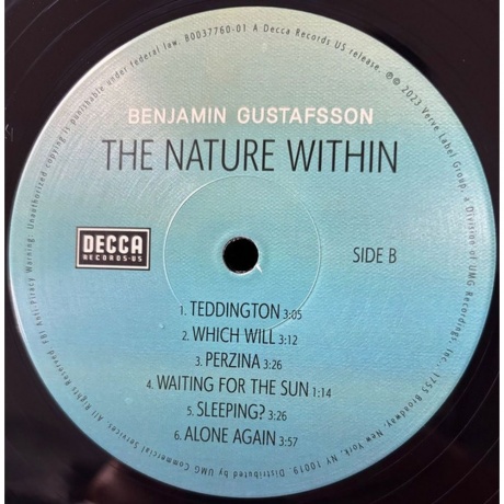 Benjamin Gustafsson - The Nature Within (0602455483102) виниловая пластинка - фото 3