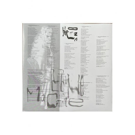 0602448898470, Виниловая пластинка Waits, Tom, Bone Machine - фото 4