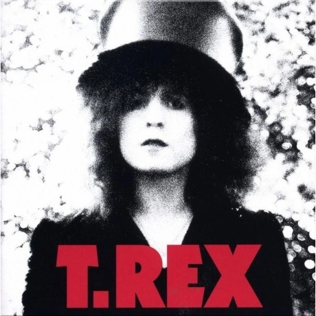 T. Rex - The Slider (coloured) (5014797902060) виниловая пластин...
