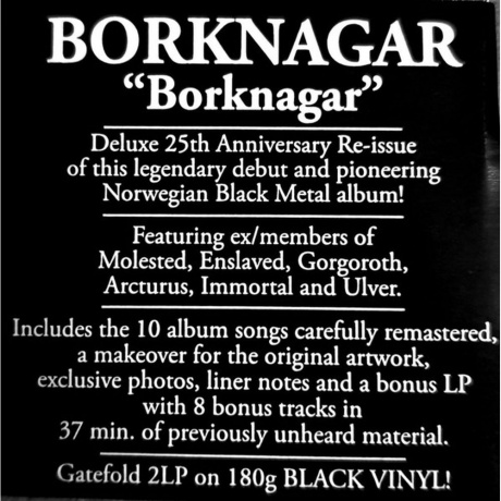 Borknagar - Borknagar (0194399135815) виниловая пластинка - фото 11