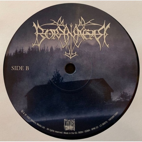 Borknagar - Borknagar (0194399135815) виниловая пластинка - фото 5