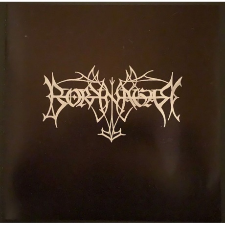 Borknagar - Borknagar (0194399135815) виниловая пластинка - фото 8