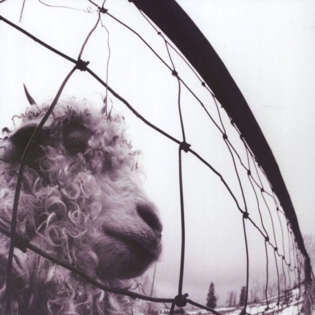 Pearl Jam - Vs. (0196588300516) виниловая пластинка - фото 1