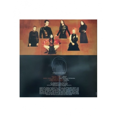 Виниловая пластинка Lacuna Coil, Comalies XX (0196587377212) - фото 16