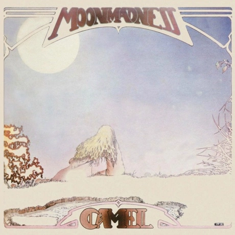 Camel - Moonmadness (0602445682959) виниловая пластинка