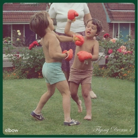 Elbow - Flying Dream 1 (0602435784748) виниловая пластинка