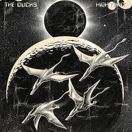 The Ducks - High Flyin' (0093624885061) виниловая пластинка - фото 1