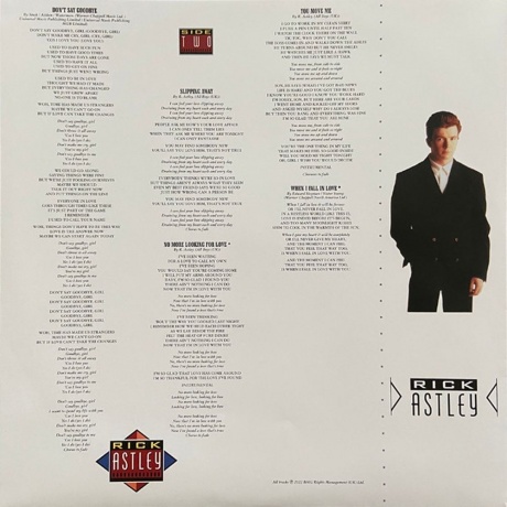 Rick Astley - Whenever You Need Somebody (4050538806670) виниловая пластинка - фото 5