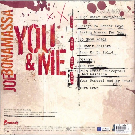 Joe Bonamassa - You &amp; Me (Orange) (0810020507102) виниловая пластинка - фото 2