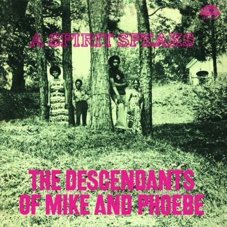 The Descendants Of Mike & Phoebe - A Spirit Speaks (Analogue) (5...