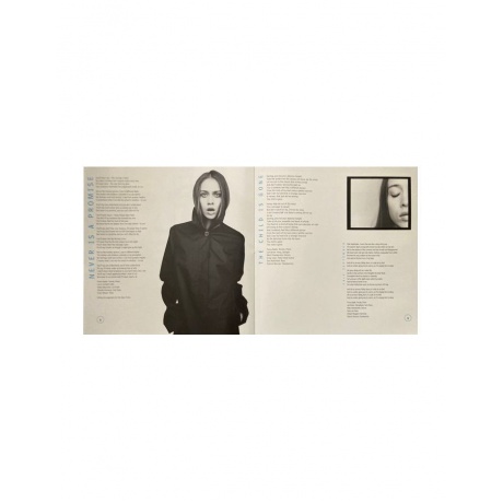 0194398742410, Виниловая пластинкаApple, Fiona, Tidal - фото 12