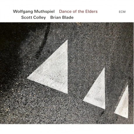 Wolfgang Muthspiel & Scott Colley & Brian Blade - Dance Of The E...