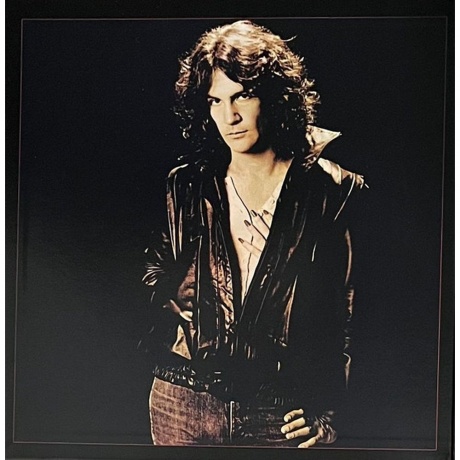 Billy Squier - Don’t Say No (Analogue) (0707129301444) виниловая пластинка - фото 2