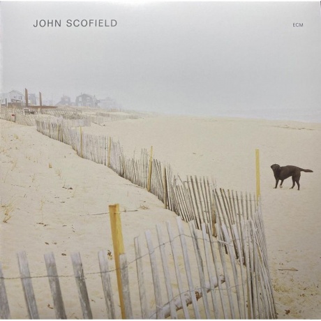 John Scofield - John Scofield (0602445343874) виниловая пластинка - фото 1