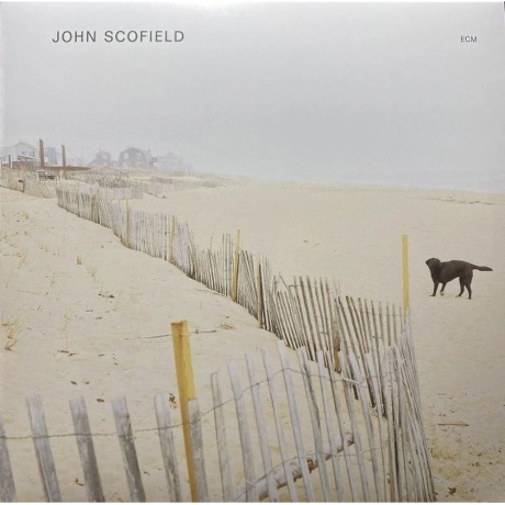 John Scofield - John Scofield (0602445343874) виниловая пластинк...