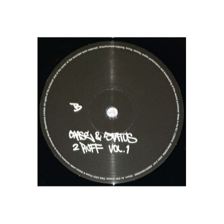Виниловая пластинка Chase &amp; Status, 2 Ruff (0602458400892) - фото 6