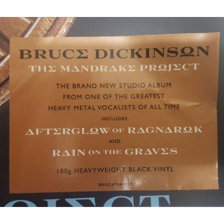 Bruce Dickinson - The Mandrake Project (4050538951332) виниловая пластинка - фото 14