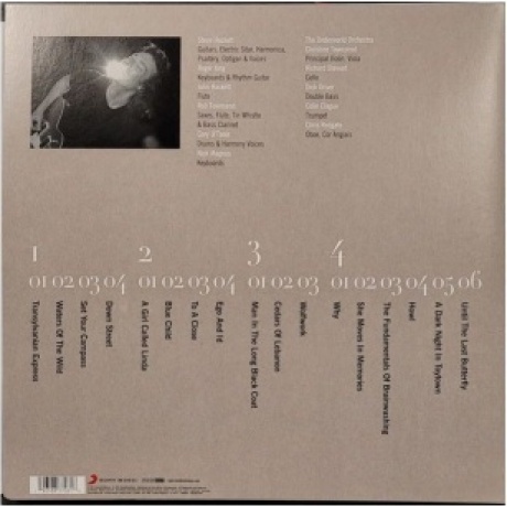 Steve Hackett - Wild Orchids (0196588370618) виниловая пластинка - фото 2