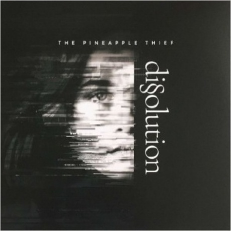 The Pineapple Thief - Dissolution (0802644898810) виниловая пластинка - фото 1