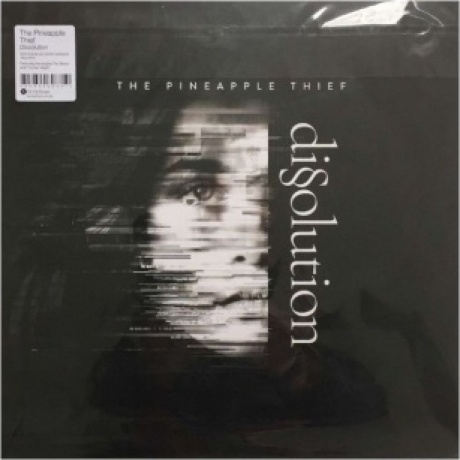 The Pineapple Thief - Dissolution (0802644898810) виниловая пластинка - фото 5